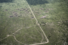 Aerial photo of a large open area bordered by thick vegetation. A road runs from top to bottom through the middle of the position while a range of field defences, earthworks and armoured vehicles are evident. Smoke is rising from the position.