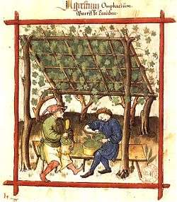 Photographshowing a medieval image (tacuino sanitatis).