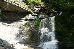 The Cowsheds, a waterfall at Fillmore Glen State Park.