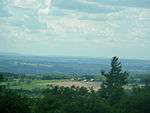 Overlooking the hills, forest, and surrounding area in Finger Lakes National Forest.