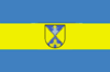 Flag of Skvyra Raion
