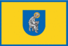 Flag of Pecherskyi District