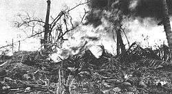 A Marine with a flamethrower lies prone in front of a burning bunker in the midst of devastated foliage.