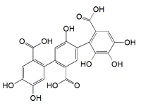 Chemical structure of flavogallonic acid
