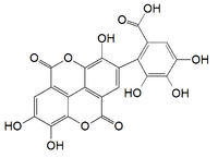 Chemical structure of flavogallonic acid dilactone
