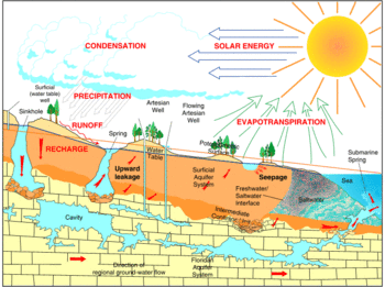 Cross section illustration of the hydrologic cycle in Florida, including the Floridan aquifer and formation of springs and sinkholes
