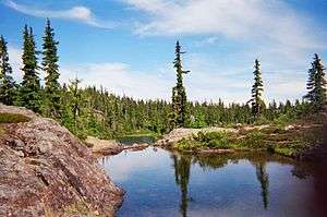 Forbidden Plateau, Strathcona Provincial Park 4.jpg