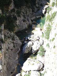 France-Gorges de Galamus-Canyonnig-2005-08-05.jpg