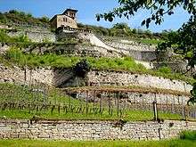 Photograph showing German vineyards on terraces. The vine has been able to conquer this northern area with a cold climate with terraced masonry vineyards; it is managed with high fences. On top of the hill, a house with a terrace overlooks the vines.