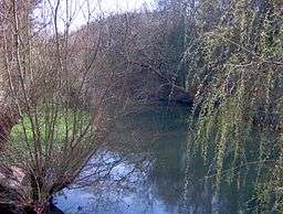 narrow stretch of river, surrounded by willow trees, sunny day