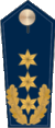 Blue epaulette with 3 golden stars and oak leaves