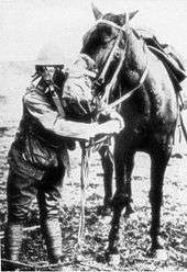 A man wearing a gas mask and helmet stands next to a tacked up horse wearing a gas mask.