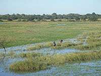 Picture showing the Pampas being flooded