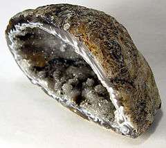 Half of a sliced geode nodule showing the hollow center lined with white and grayish druzy crystals.
