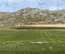 Photograph of moorland on Coll