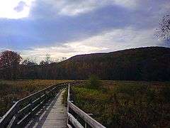 A boardwalk through the marshes at Goosepond Mountain State Park.