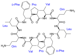 Structural formula of Gramicidin S
