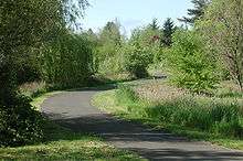 An asphalt path winds through a flat area of grass, trees, and low bushes.