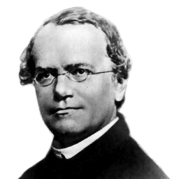 Photograph of Gregor Mendel