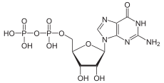 Skeletal formula of guanosine diphosphate