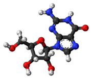Ball-and-stick model of the guanosine molecule