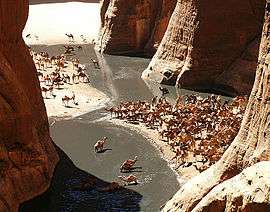 A view into a canyon: many camels gathering around a watering hole