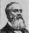 Head of Victorian gentlemen with full beard, in 3/4 view