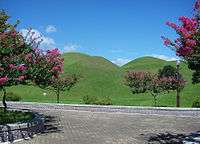 Several grass covered mounds.