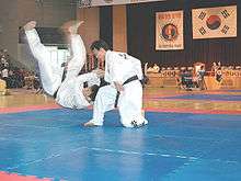 Hapkido tournament in Korea