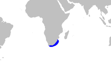 Partial world map with a blue outline along the coast of South Africa