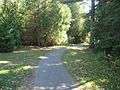 Harrisville state park path 01.jpg