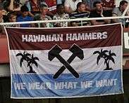 Banner for Hawaiian Hammers