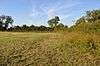 Hemingford Grey Meadow