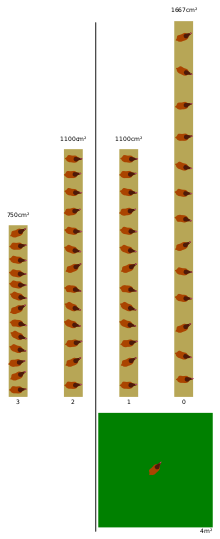 A diagram showing amount of m² per 13 hens for different levels: from 3 (left) to 0 (right).