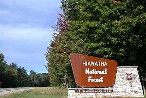 A brown and white wooden sign for the Hiawatha National Forest mounted on a stone base. The sign is installed on the right side of a highway between the road and the forest on the far right.