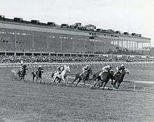 A ground level view of horses racing at Laurel Park.