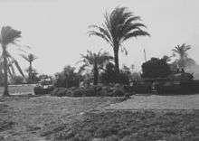 Tanks in a grove of palm trees