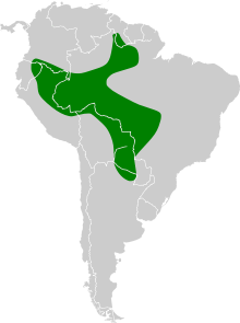 Map showing range I. croconotus