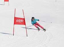 Slalom skier skiing around a pair of red poles