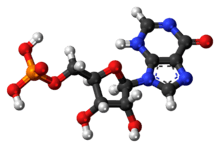 Ball-and-stick model of the inosinic acid molecule