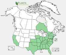 Distribution of I. lacunosa in the USA
