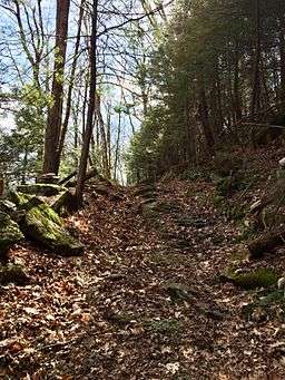 Iron Trail In Housatonic SF to Canaan Mtn Rd