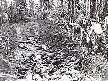 Soldiers burying dead in a large pit