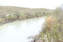 A river with plants on either side. A hill rises on the right side.