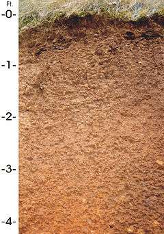 Cross-section of four feet of reddish-brown soil