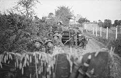 A group of soldiers crouching beside a roadside hedge
