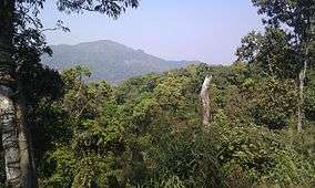 Forest of Kaeng Krachan National Park