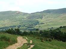 A photograph of moorland in summer; in the foreground is a dirt track on a small hill, in the mid-ground a small wood; in the background a treeless moorland skyline.