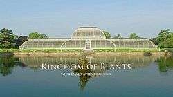 Kingdom of Plants 3D title card