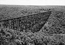 A black and white aerial photo of a bridge crossing a valley